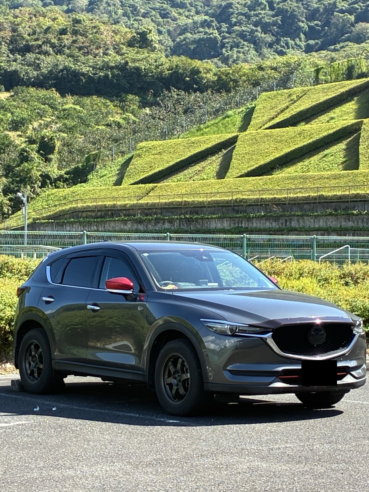 TE37を付け替えた今の車